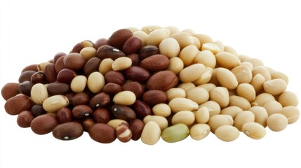 A variety of beans displayed in a heap, showcasing different colors and sizes.