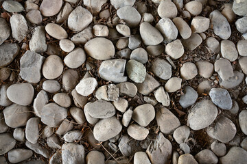 Texture of bed of pebbles on the ground. Background use.