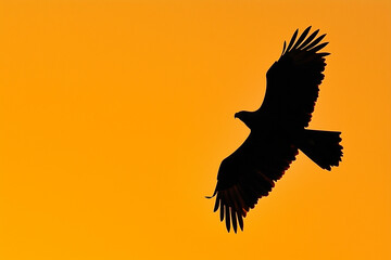 Obraz premium A shot of a bald eagle perched on a rocky cliff, overlooking a sweeping mountain range.