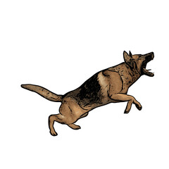 Fototapeta premium German Shepard dog animal vector ilustration isolated design on white background 