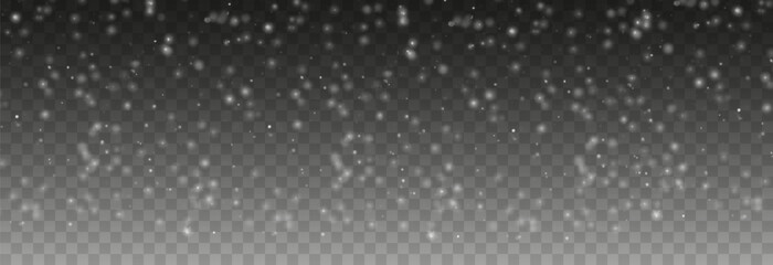 Vector flying snow. Flying snowflakes on an isolated transparent background. Winter or Christmas background. Snow or snowflakes png.