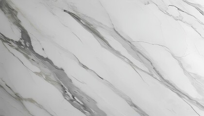 White Marble with Gray Veins