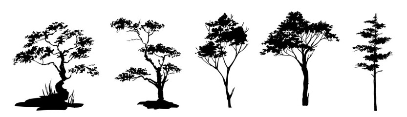 Fototapeta premium Vector silhouette tree line drawing set, graphics trees elements, tree black silhouette illustration on a white background. 