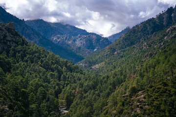 Fototapeta premium Restonica Valley, Corsica