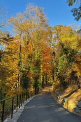 Obraz premium Colorful autumn foliage in Bronx River Parkway Reservation in New York