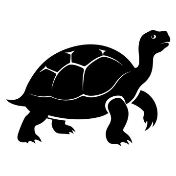 recommend clip art: Tortoise Silhouette Vector Icon.