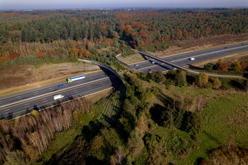 Forest aerial wildlife crossing De Borkeld forming a safe natural corridor bridge for animals to...
