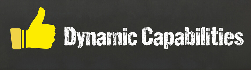 Dynamic Capabilities