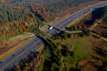 Forest aerial wildlife crossing De Borkeld forming a safe natural corridor bridge for animals to...