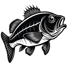 black and white background fish vector