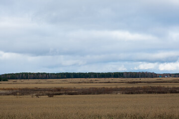Autumn landscape with field, forest and heavy gray clouds on the sky. Copy space.
