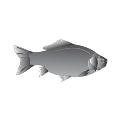 Elegant fish vector design for aquatic themes