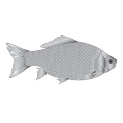 Vibrant fish vector, perfect for ocean-themed projects.