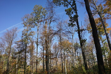 Pogórze Kaczawskie, Polska © Strumyk