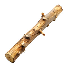 Wood branch isolated on transparent background