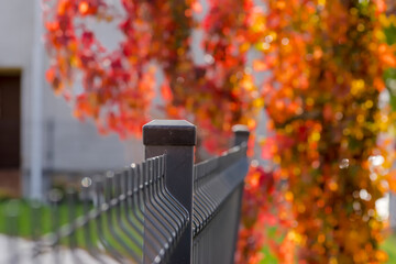 Ogrodzenie z siatki drucianej (lekko krzywe) na tle roślin z liśćmi w żywych kolorach jesieni. Ogrodzenie wykonane z cienkich stalowych prętów w pięknej jesiennej scenerii miasta. © Grzegorz