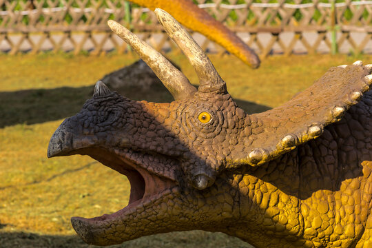 Polska Bałt&oacute;w 30 maja 2023 16:09. Młody triceratops z otwartą paszczą na trawiastej powierzchni, figura w Jura Parku. Przyjazny, powszechnie lubiany dinozaur, niemal ikoniczny, rekonstrukcja paleo.