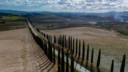 Fototapeta premium Explore the scenic cypress-lined road in the breathtaking Tuscan landscape under a cloudy sky
