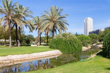 Fototapeta premium Valencia, la luminosidad de sus paisajes y sus calles