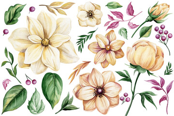 Fototapeta premium Beige watercolor flowers, greenery set. Detailed botanical floral elements isolated. Luxury vintage floral for wedding