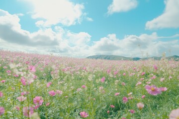 Fototapeta premium Vibrant Flower Field Under the Sunlight