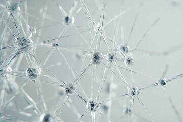 Abstract Network Connection in 4D Representation