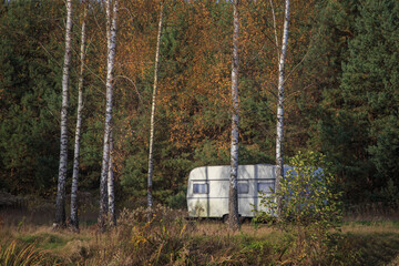 Sunny day. Yellow foliage on trees in autumn © Bagatela