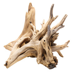 Driftwood on transparent background