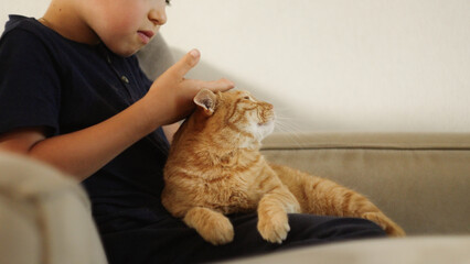 A young child joyfully playing with an affectionate orange cat in a warm, cozy setting