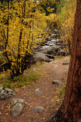 Glacier Creek in mid-autumn in Rocky Mountain National Park, Colorado