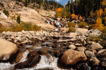 Within Rocky Mountain National Park in autumn,  aspen and pines in the alluvial fan