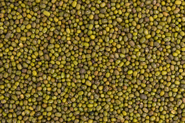mung bean as background
