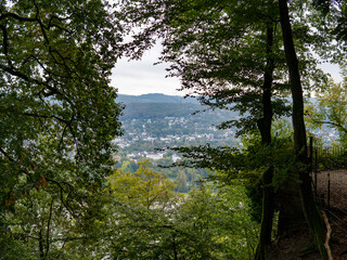 Obraz premium beautiful forest bordered by a green field, top view of the river