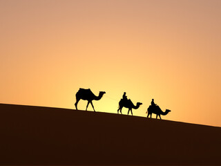 Camel caravan travels across golden sand dunes at sunset in a tranquil desert landscape