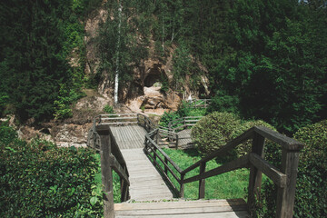 Wooden stairs in a dense forest. National park trail background. Scenic path through lush woodland, Nature exploration and hiking landscape.