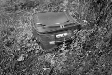 An abandoned or lost suitcase, which is fastened with a zipper, lies on the grass under a large tree.
