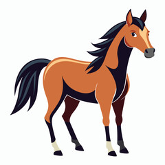 vector horse on white background