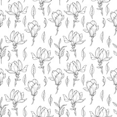 Hand Drawn magnolia Background. Magnolia Seamless Pattern Trendy graphics. Magnolia Line Art. Spring flowers seamless pattern. Magnolia pattern for luxury wallpapers, textile, wedding invitations, car