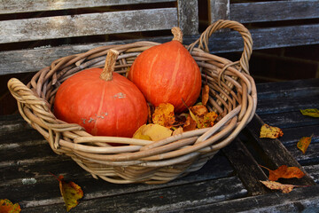 Two red kuri squash in a rustic woven basket