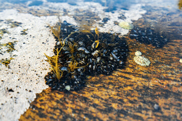 Tungeneset beach on Senja island, Norway