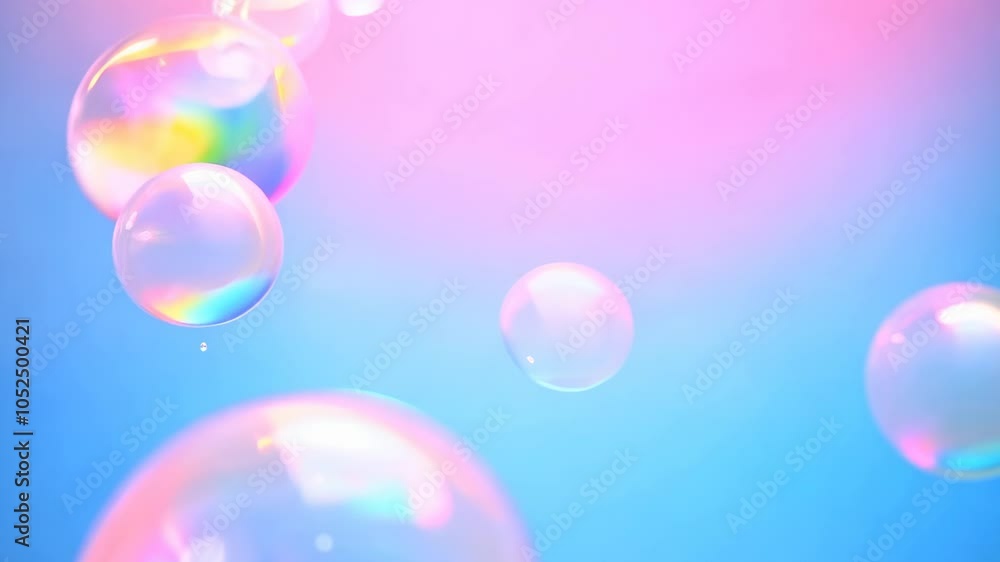 Poster Large colorful bubbles floating slowly in soft pink light.