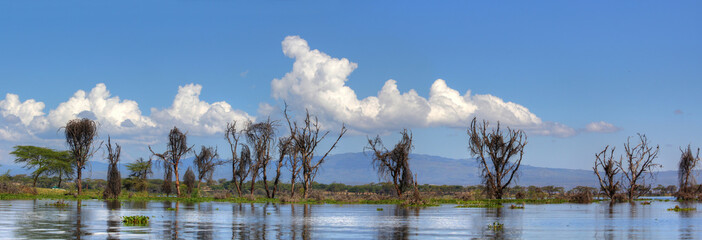 Kenia in Ostafrika - Lake Naivasha im Ostafrikanischen Grabenbruch