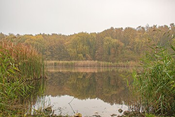 autumn landscape with lake