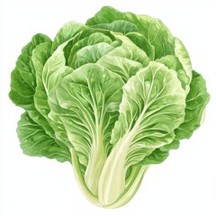 Fresh Bok Choy with Vibrant Green Leaves