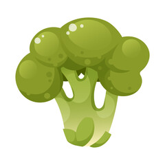 Vector illustration of broccoli, whole bunch of cauliflower, on white background. Whole head of green broccoli, organic food, vegetable, garden harvest, healthy food, greens, ingredient.