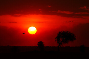Obraz premium Sunrise or Sunset in Kenya (East Africa)