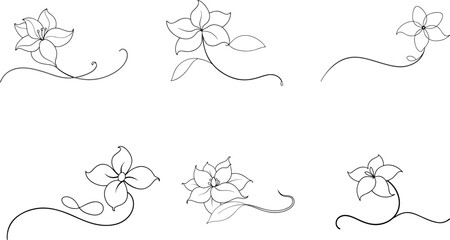 Fototapeta premium Set of Stunning Line Art of Jasmine Capturing Nature's Beauty in Simplicity