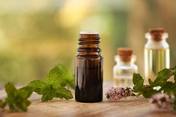 Peppermint aromatherapy essential oil with fresh blooming plant