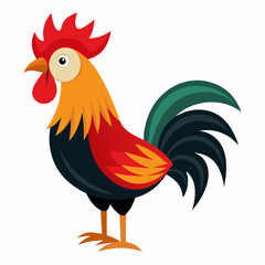 rooster isolated on white background