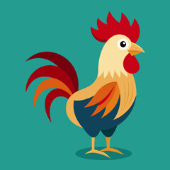 rooster isolated on white background